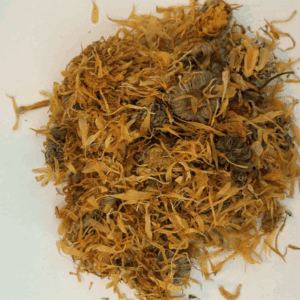 Calendula
