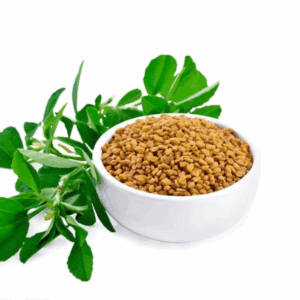 Fenugreek