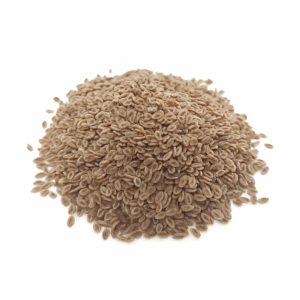 Psyllium Seed