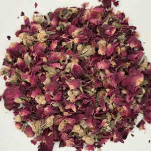 Rose flower