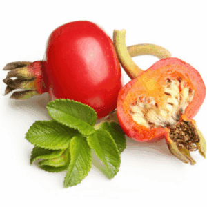 Rosehip