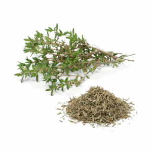 Thyme